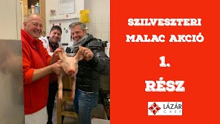 SZILVESZTERI MALAC AKCIÓ 1.  RÉSZ