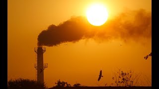 World needs to make near-revolutionary change to avoid imminent climate disaster. Is there hope?