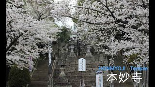 HONMYOJI Temple-本妙寺【 熊本】