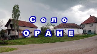 Село ОРАНЕ - Општина Бојник