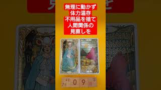 おみくじ的タロット占い「無理に動かず体力温存、不用品を捨て、人間関係の見直しを」