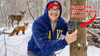 How to Set Up and Install a Trail Camera (Beginner’s Guide)