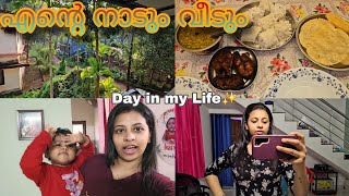 ✨എന്റെ നാടും വീടും| Day in my Life| #dayinmylife #youtube #viralvideo #food