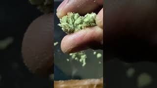 Green light dispensary superglue review