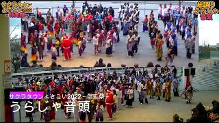 華⑭ 総踊り「うらじゃ音頭」/サクラタウンよさこい2022～師走祭～