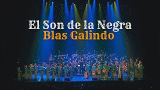 El Son de la Negra - Mariachi Internacional and the Young Artists Orchestra Symphony - Yunior Lopez