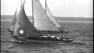 Nearly 143 sail boats compete at the finals of the 46th Annual Regatta in Larchmo...HD Stock Footage