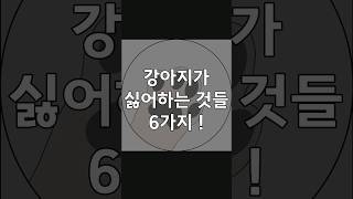 강아지가 싫어하는 것들 6가지 !  #강아지 #반려견 #반려동물 #강아지정보 #강아지지식 #강아지가싫어하는것 #멍멍이 #댕댕이