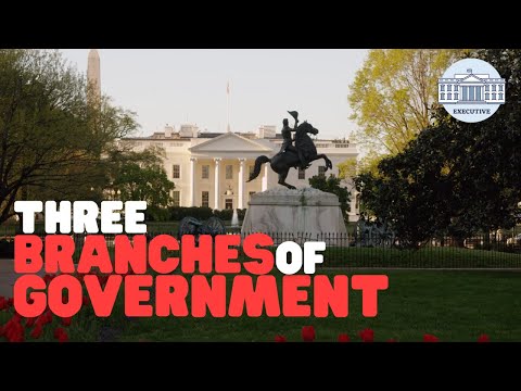 What are the two basic functions of legislature?