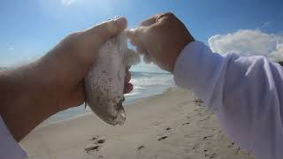 Florida East Coast Surf Fishing FECSF 2nd Light Beach