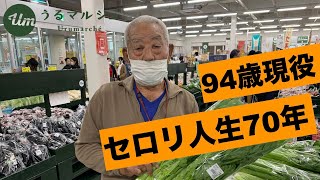 -セロリ-親富祖さん【うるマルシェの生産者さん】［沖縄｜うるま市］