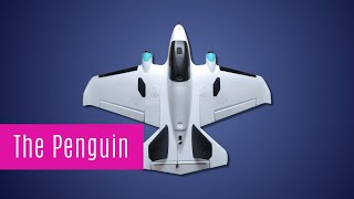 The AtomRC Penguin twin motor FPV airplane