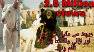 #Bear'fighter #Expensive Dog  #Intelligent Dog #kohati Dog #fighter Dog  #Gultair Dog  #Hunter Dog