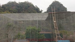 aviary chim cảnh trên núi mới hoàn thiện