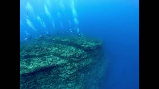 オガン 東の根