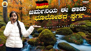 ಜರ್ಮನಿಯ ಹಳ್ಳಿಯಲ್ಲಿರೋ ಈ ಕಾಡು ನೋಡಿದ್ರೆ ಕಳೆದೋಗ್ತಿರಾ😍Germany Black Forest   #kannadavlogs#blackforest