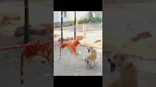 😂🐯Prank Dog with Fake Tiger So Funny Dogs Prank Try To Stop Laugh 2023