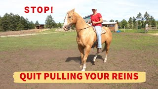 HOW TO STOP A HORSE WITH YOUR BODY/GET BETTER STOPS