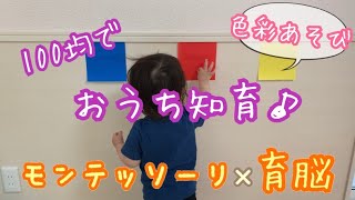 モンテッソーリ×育脳【手作り知育おもちゃ】０歳１歳２歳　色彩あそび、色の認識あそび♪100均ですぐに簡単にできるおうち知育遊び！知育玩具・知育動画・手作りおもちゃ