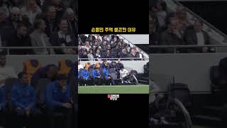 예민한 곳을 그것도 남자 건들면 못참쥐 #토트넘 #손흥민