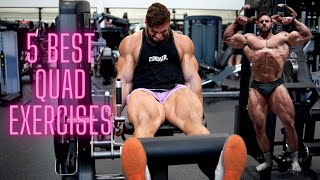 TOP 5 QUAD EXERCISES FOR HUGE LEGS