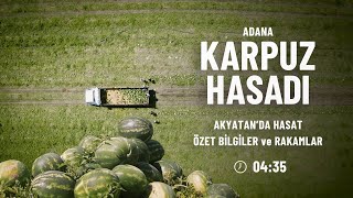 Adana'da Karpuz Hasadı