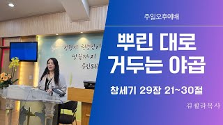 일산연예인교회 주일오후예배 뿌린 대로 거두는 야곱(창세기29장21~30절)김셀라목사