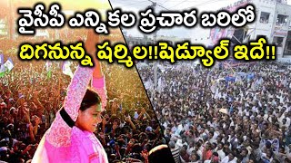 AP Assembly Election 2019 : వైఎస్ షర్మిల ప్రచార షెడ్యూల్ ఇదే ! | Oneindia Telugu