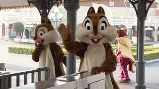 開園前グリーティング（2015年3月22日 TDL）