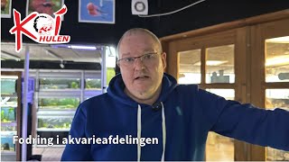 Koihulens Torsdagsvideo - Fodring i akvarieafdelingen