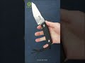 Solid CIVIVI Propugnator Fixed Blade Knife