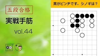 【五段合格・実戦手筋】44 ～やさしい囲碁レッスン～