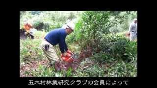 「ヤボ切り」　五木村焼き畑再生プロジェクト