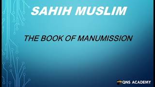 Sahih Muslim : Book 20 The Book Of Manumission : Hadith 3770-3800 of 7563 English by Audio Artist