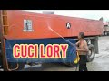 Cuci lory