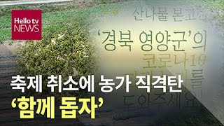 축제 취소에 농가 직격탄...′함께 돕자′