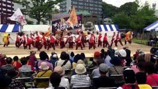 肥後真狗舞 2016黒崎よさこい祭り