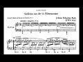 J. S. Bach: Siciliano from the Flute Sonata No.2 (BWV 1031)
