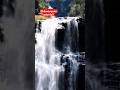 Chikmagalur Waterfalls Exploration #chikmagalur #shorts