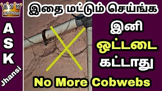 ஒட்டடை கட்டாமல் இருக்க இதை மட்டும் செய்தால் போதும் How to Prevent Cobwebs ? ASK Jhansi