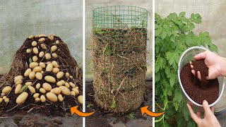 Potato Tower - I Wish I Knew This Potato Growing Trick Sooner