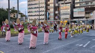 第46回小金井阿波おどり　立正佼成会連　2024年7月28日