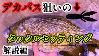 デカバスを呼ぶ実績大なタックルを紹介します【バス釣り】【リグ】【スモールマウスバス】