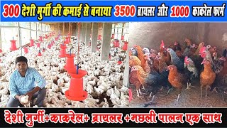 देशी मुर्गी+काकरेल पोल्ट्री+ब्रायलर मुर्गी+मछली पालन एक साथ।Deshi Murgi+Kakrel+Broiler poultry+Fish