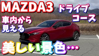 【ドライブ動画】メタセコイア並木～奥琵琶湖パークウェイ【MAZDA3】