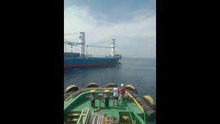 Docking Operation M/V SOLID HARMONY AT TEFASCO PORT, DAVAO