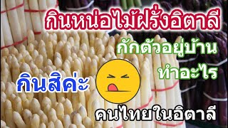 กินหน่อไม้ฝรั่งอิตาลีกันในวันกักตัว​อยู่​บ้าน​ อร่อยมาก Spargel mit Bozner Sauce | คนไทยในอิตาลี