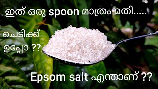 ഏത് ചെടിയും തഴച്ചുവളരാൻ ഉപ്പ് പ്രയോഗംIEpsom Salt എന്താണ്?