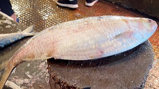 2kg Per Piece Big Hilsa Fish Cutting In Bangladesh Fish Market | Fish Cutting Skills