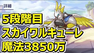 【プリコネR】5段階目スカイワルキューレ　魔法3850万（操作少）【11月クランバトル】